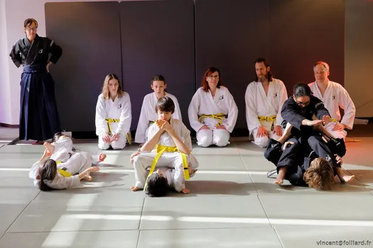 Copyright : Vincent Folliard